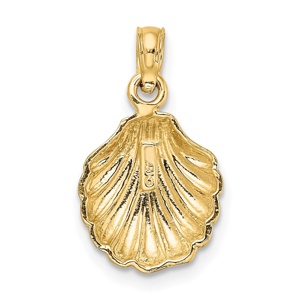 Gold Polished Sea Shell Pendants