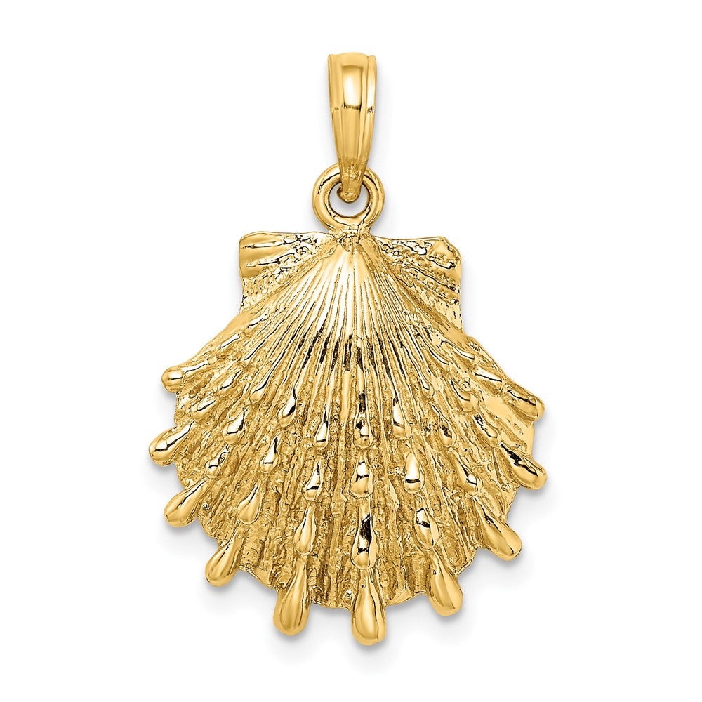 Gold Polished Sea Shell Pendants