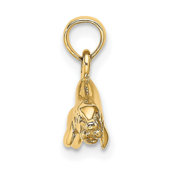 Gold Polished Dolphin Pendants