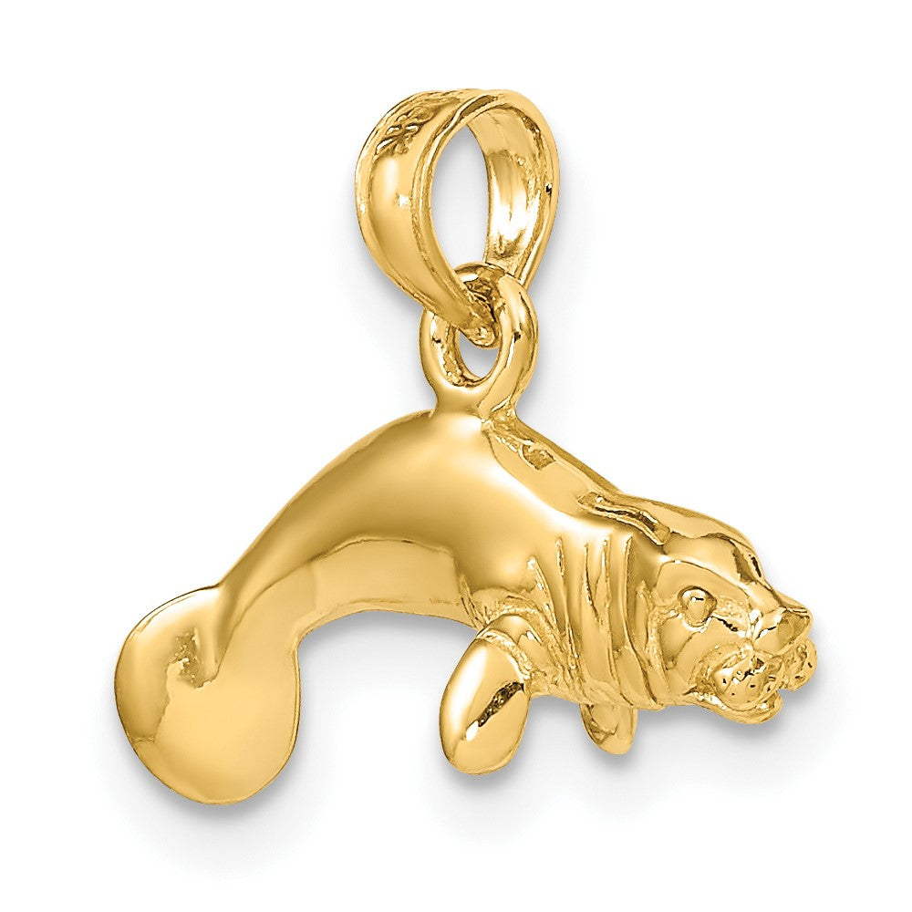 Gold Polished Dolphin Pendants