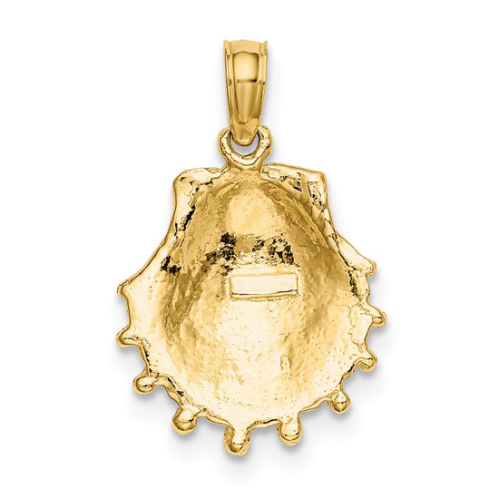Gold Polished Sea Shell Pendants