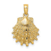 Gold Polished Sea Shell Pendants