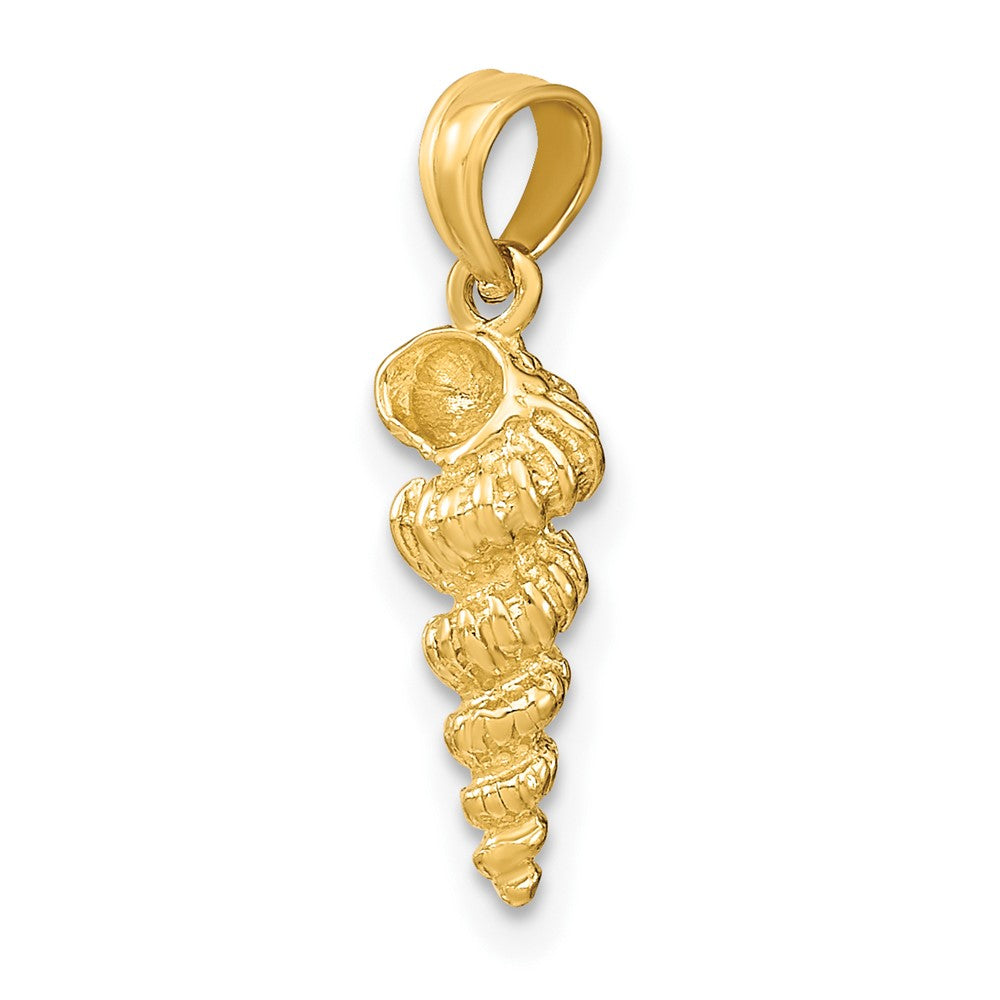 Gold Polished Sea Shell Pendants