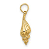 Gold Polished Sea Shell Pendants
