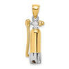 Gold Polished Scuba Pendants