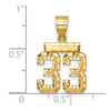 10k Small Brushed Diamond-cut Number 33 Charm