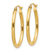 Oval Hoop Earrings
