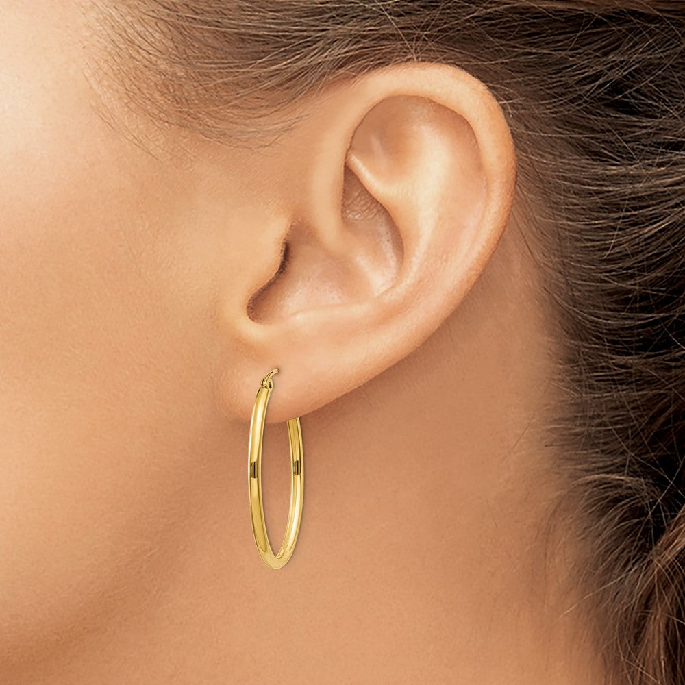 Oval Hoop Earrings