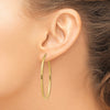 Oval Hoop Earrings