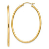 Oval Hoop Earrings