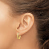 10K Brushed Diamond Cut Oval Hoop Earrings