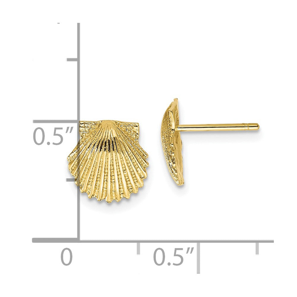 Gold Shell Earrings