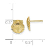 10k Scallop Shell Post Earrings