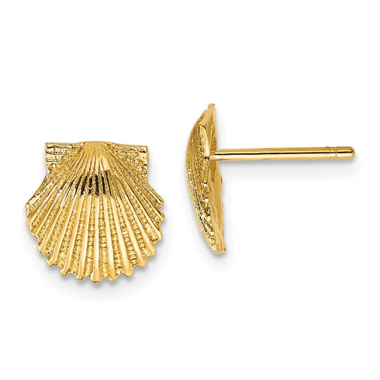 Gold Shell Earrings