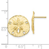 10k Large Sanddollar Post Earrings