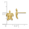 Gold Turtle Post Earrings