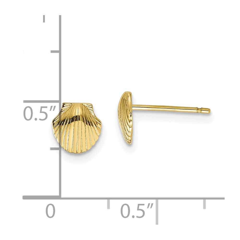 Gold Sea Shell Post Earrings