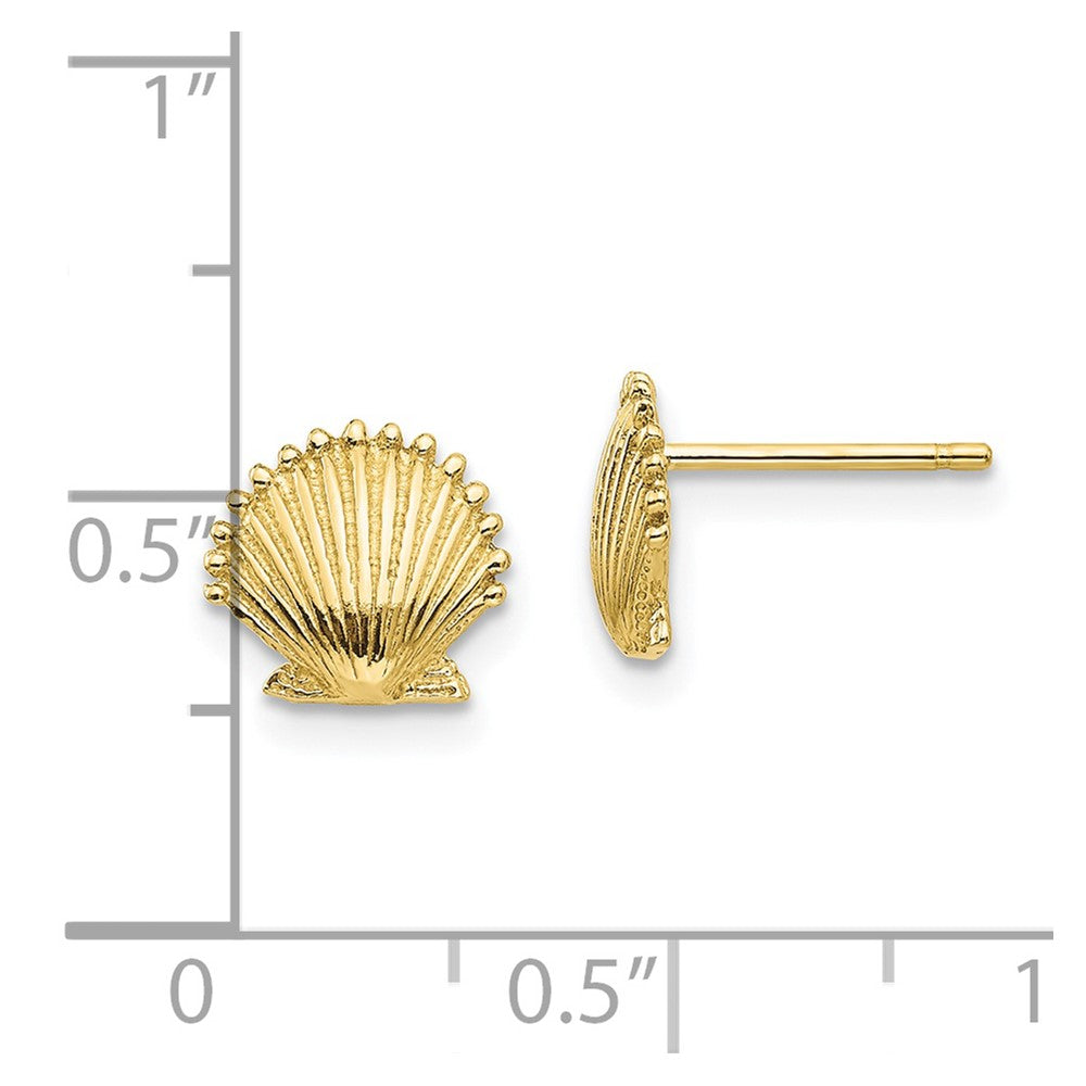 Gold Sea Shell Post Earrings
