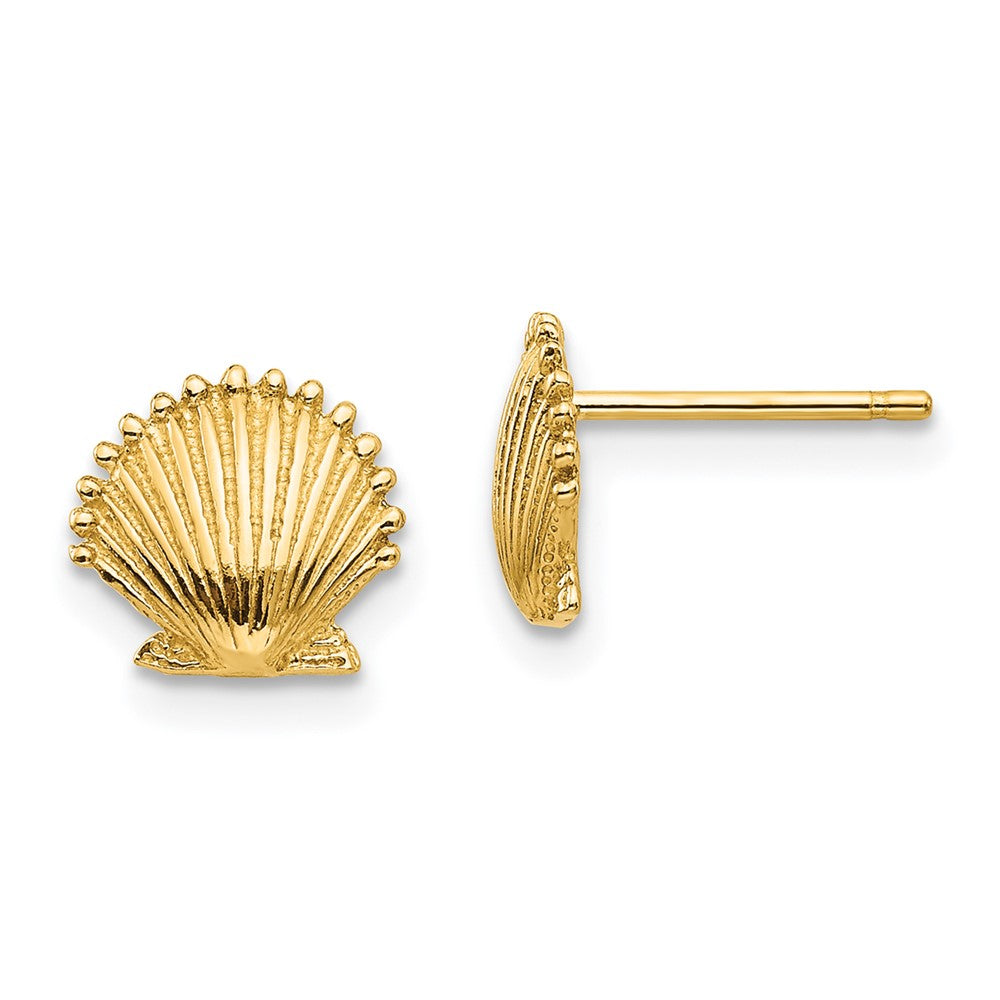 Gold Sea Shell Post Earrings