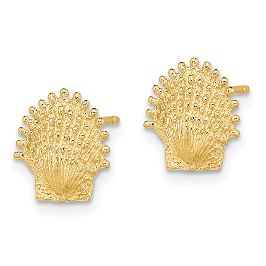 Gold Sea Shell Post Earrings