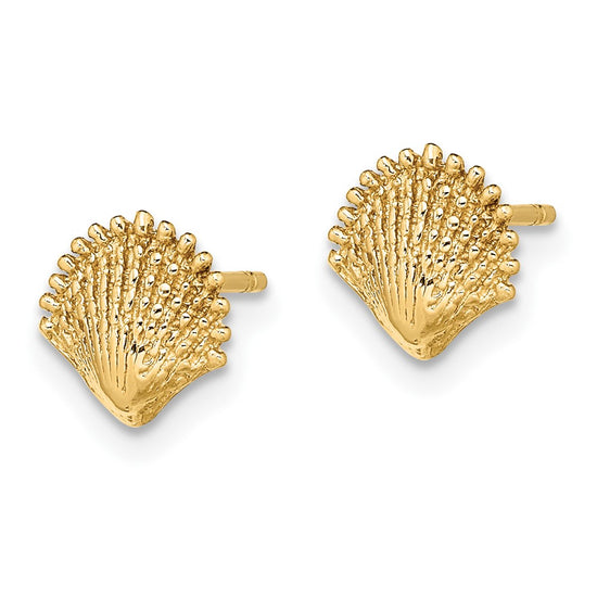 Gold Sea Shell Post Earrings