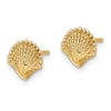 Gold Sea Shell Post Earrings