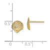 Gold Sea Shell Post Earrings