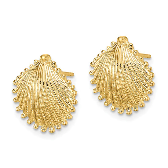 Gold Sea Shell Post Earrings