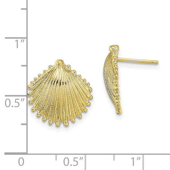 10K Scallop Shell Post Earrings