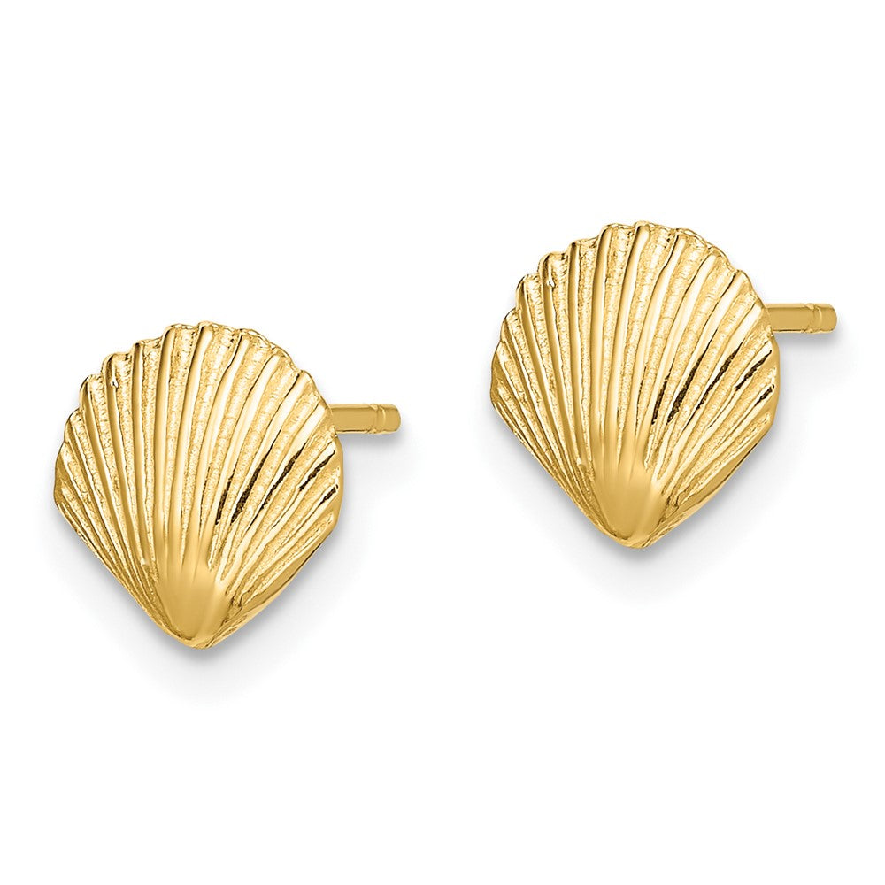Gold Sea Shell Post Earrings