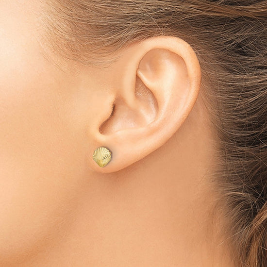 Gold Sea Shell Post Earrings