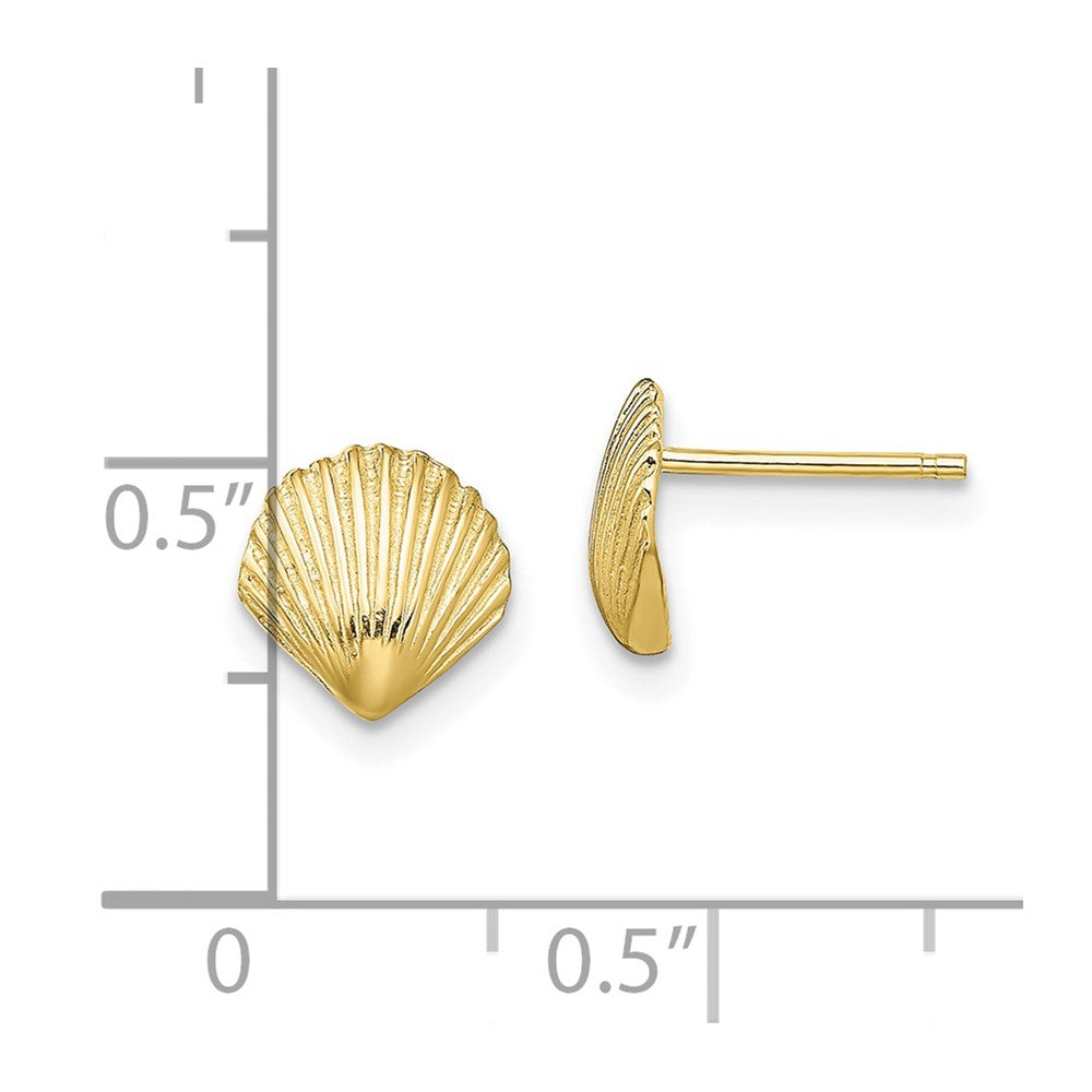 Gold Sea Shell Post Earrings