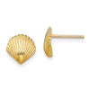 Gold Sea Shell Post Earrings
