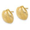 Gold Clam Shell Post Earrings