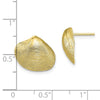 Gold Clam Shell Post Earrings