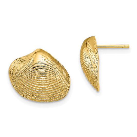 Gold Clam Shell Post Earrings