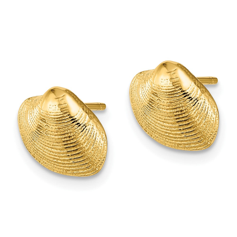 Gold Clam Shell Post Earrings