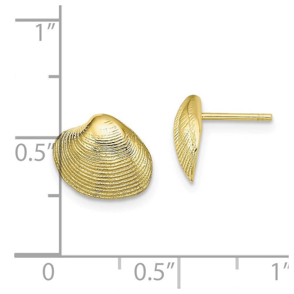 Gold Clam Shell Post Earrings