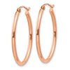 Oval Hoop Earrings