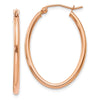 Oval Hoop Earrings