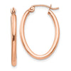 Oval Hoop Earrings