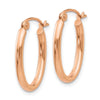 Oval Hoop Earrings