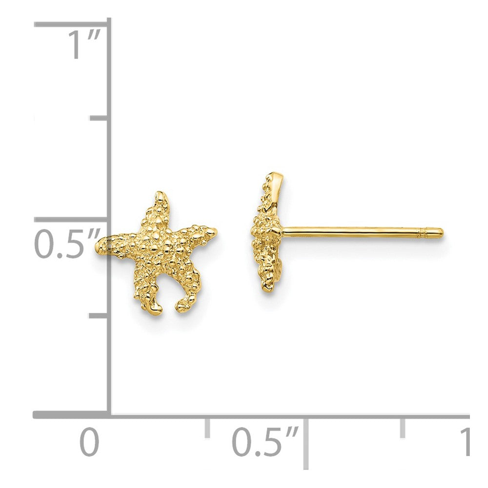 10K Polished Textured Starfish Post Earrings