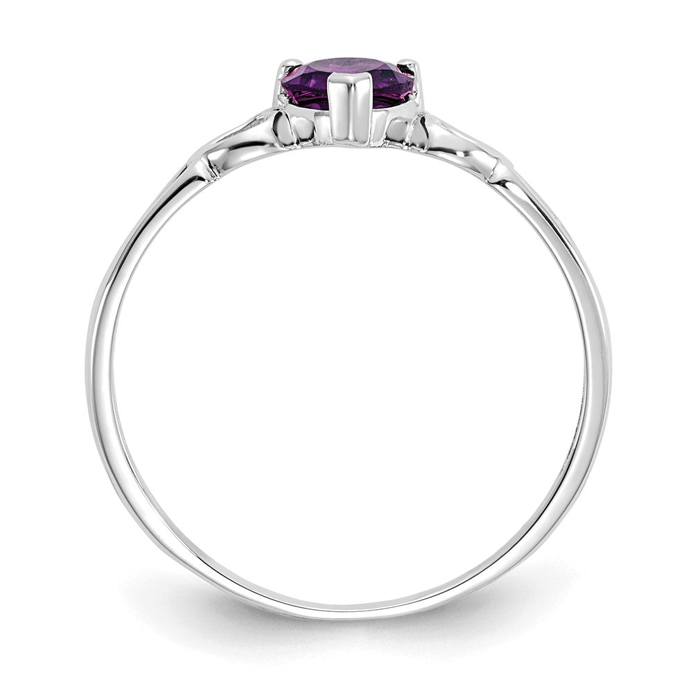 Genuine Birthstone Heart Ring — (02) February
