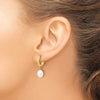 Gold FWC Pearl Dangle Hoop Earrings