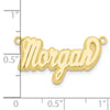 10k Yellow Gold Polished 3D Name Plate