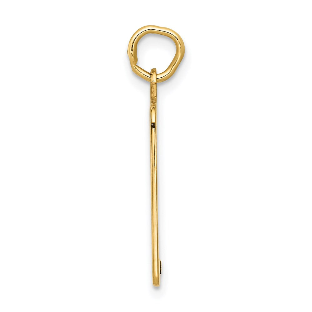 Gold Polished Birth Certificate Pendants