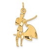 14k Matador Charm