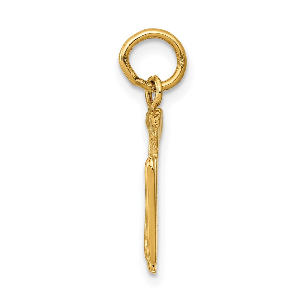 Gold Polished Medical Pendants