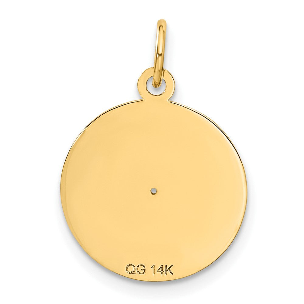 Gold Record Album Charm